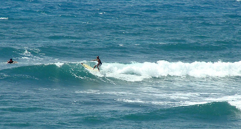 Ecole de surf No Comply